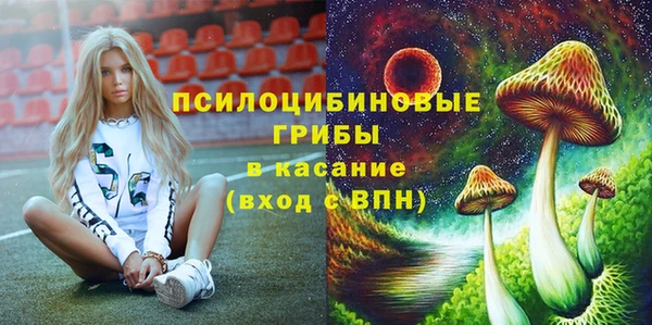 а пвп мука Арсеньев
