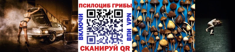 Псилоцибиновые грибы Psilocybe Цоци-Юрт